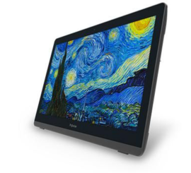 ProWise PW.1.34002.0001 All-in-one - Intel Pentium 4000 - 8GB RAM - 256GB SSD - Windows 11
