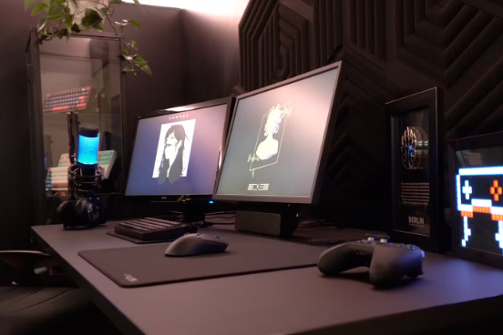 monitor pro pc
